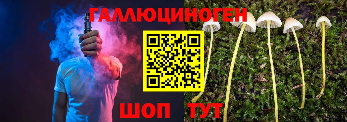 Галлюциногенные грибы Psilocybine cubensis Алексин