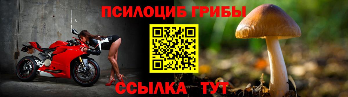 Галлюциногенные грибы ЛСД  Псилоцибиновые грибы прущие грибы  Вход с VPN  Алексин 